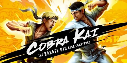 Cobra Kai: The Karate Kid Saga Continues Video Game Only $14.99 on GameStop.com (Regularly $40)