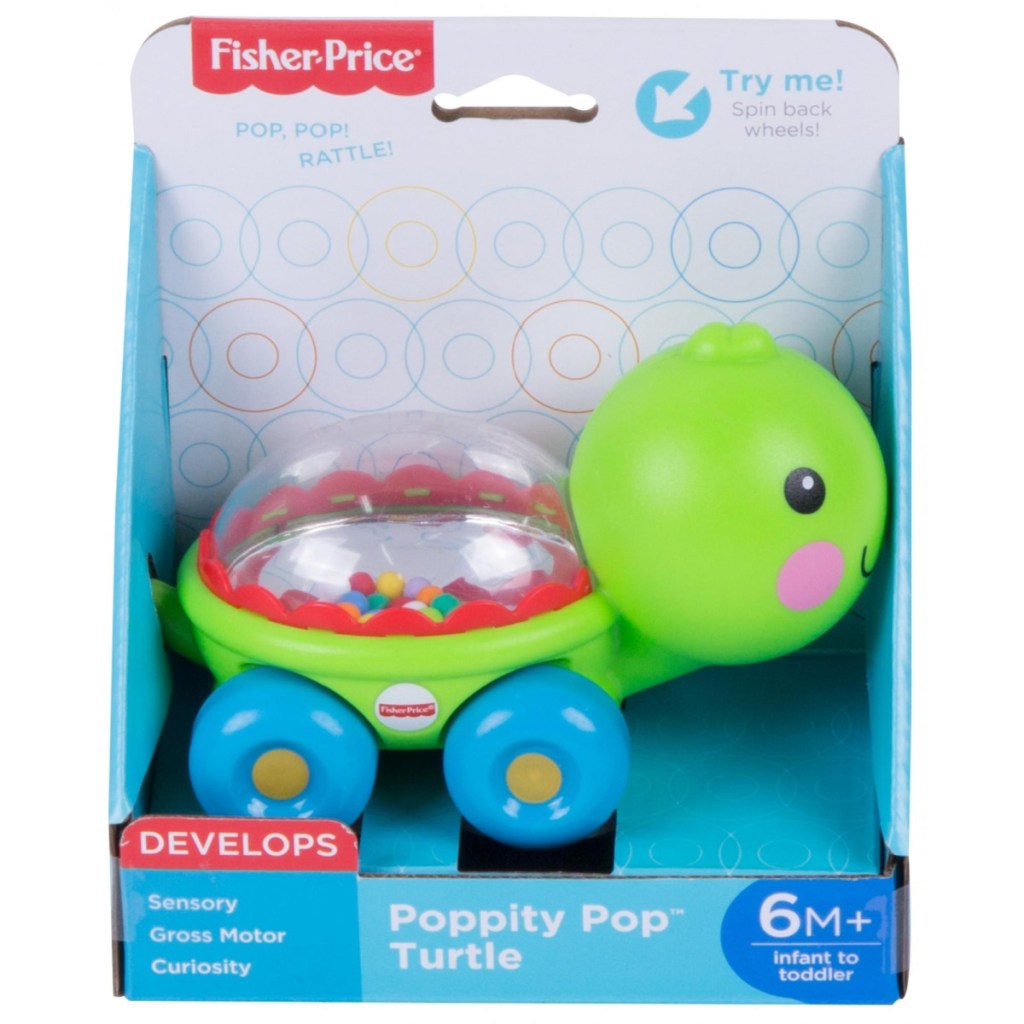 turtle themed baby toy