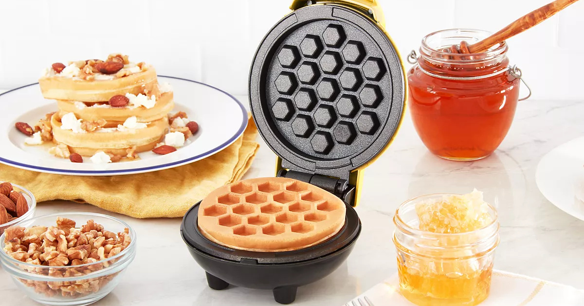 dash pizzelle maker recipes