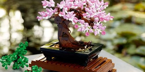 LEGO Bonsai Tree Set Just $40 Shipped on Amazon (Regularly $50) | Display Leaves or Cherry Blossoms