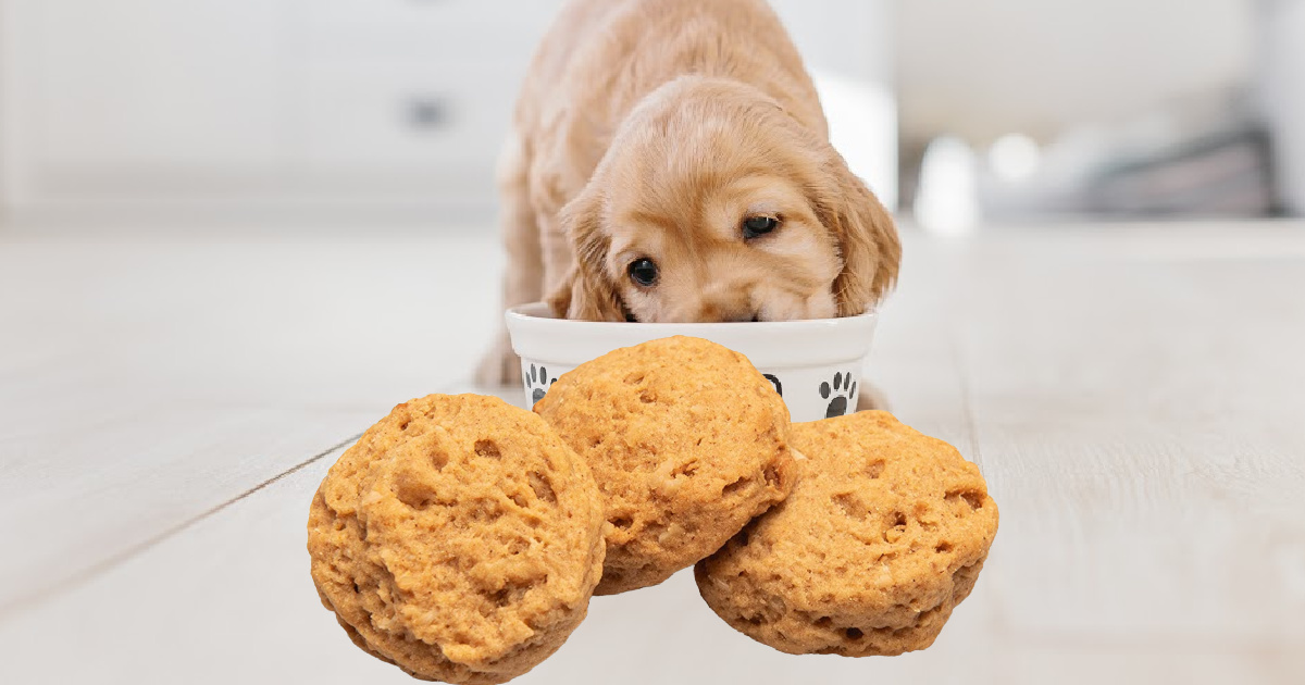 Three Dog Bakery Cookie Treats Only 3.19 on Amazon (Regularly 7)