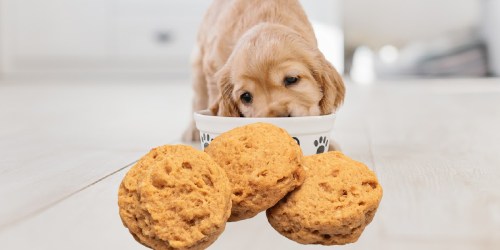 Three Dog Bakery Cookie Treats Only $3.19 on Amazon (Regularly $7)