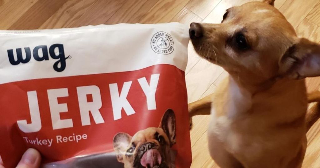 dog sniffing a bag of jerky