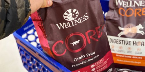 Wellness Core Grain Free Dog Food Only $9.39 Shipped on Amazon (Regularly $17.39)