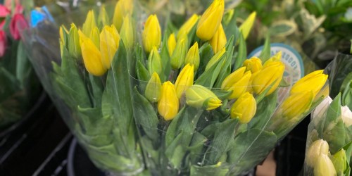 Whole Foods 20-Count Tulip Bouquets Only $9.99 for Amazon Prime Members (Regularly $15) | Perfect for Mom