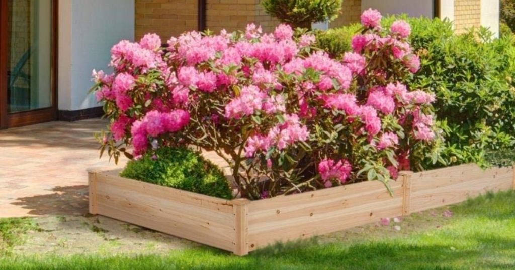 raised garden bed with flowers in it