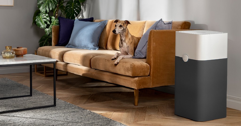 air purifier next to a leather sofa