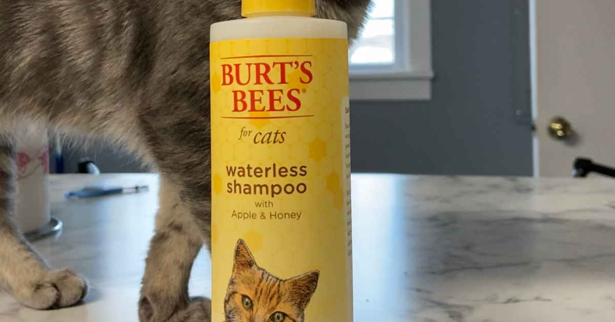 Burt's bees cat waterless 2024 shampoo