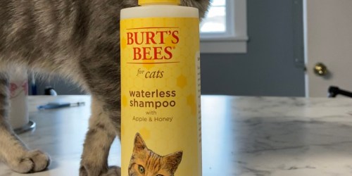 Burt’s Bees Cat Waterless Shampoo Spray Only $3 Shipped on Amazon (Regularly $12)