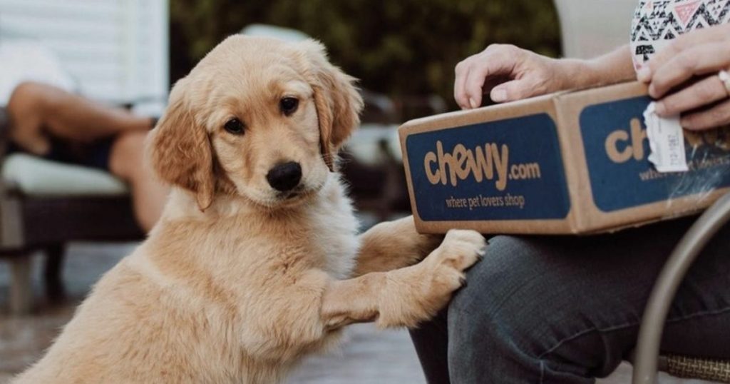 dog with chewy box