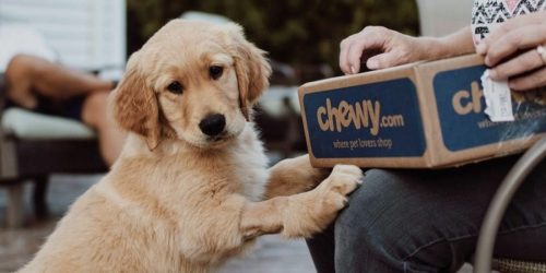 FREE $20 Chewy eGift Card w/ $50 Pet Purchase + Free Shipping