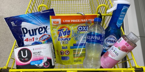 *HOT* 9 Household, Grocery & Personal Care Items Only $5.30 at Dollar General (May 22nd Only – Just Use Your Phone)