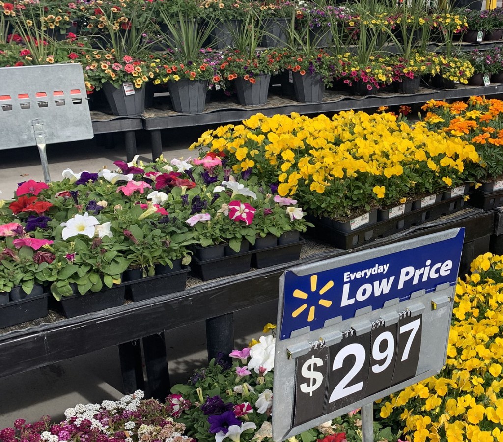 fresh flowers in store at walmart
