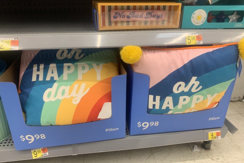 rainbow pillows in box on store shelf