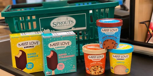 FREE Must Love Ice Cream Pint or Bars After Rebate | Non-Dairy & Vegan