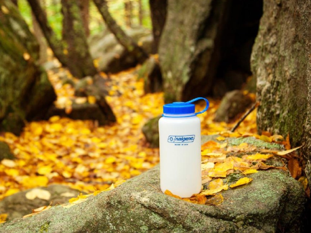white water bottle sitting amoung leaves and trees