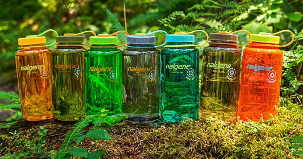 seven water bottles sitting on forest floor