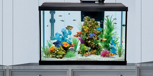 10-Gallon Aquarium Starter Kit Only $29.99 on Petsmart.com (Regularly $80)