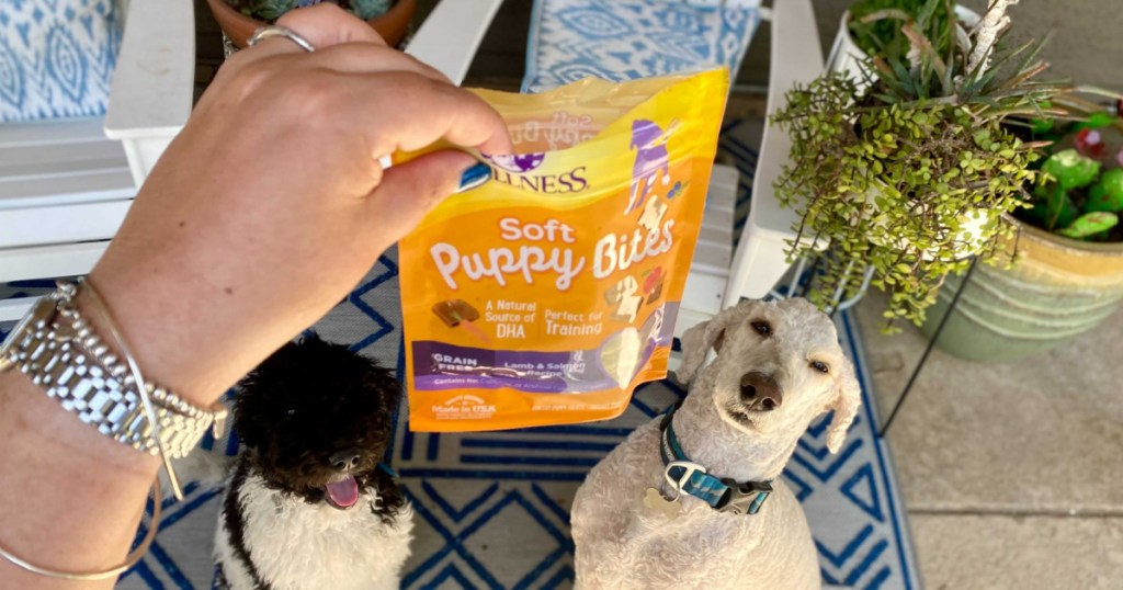 wellness soft puppy bites in hand with dogs