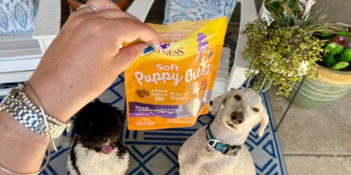 Wellness Soft Puppy Bites Natural Grain-Free Dog Treats Only $1.89 Shipped on Amazon (Reg. $5)