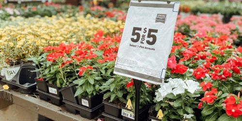 Lowe’s 4th of July Sale | $1 Annuals, $4 Vegetable Plants + Save on Mulch, Tiki Torches, & More