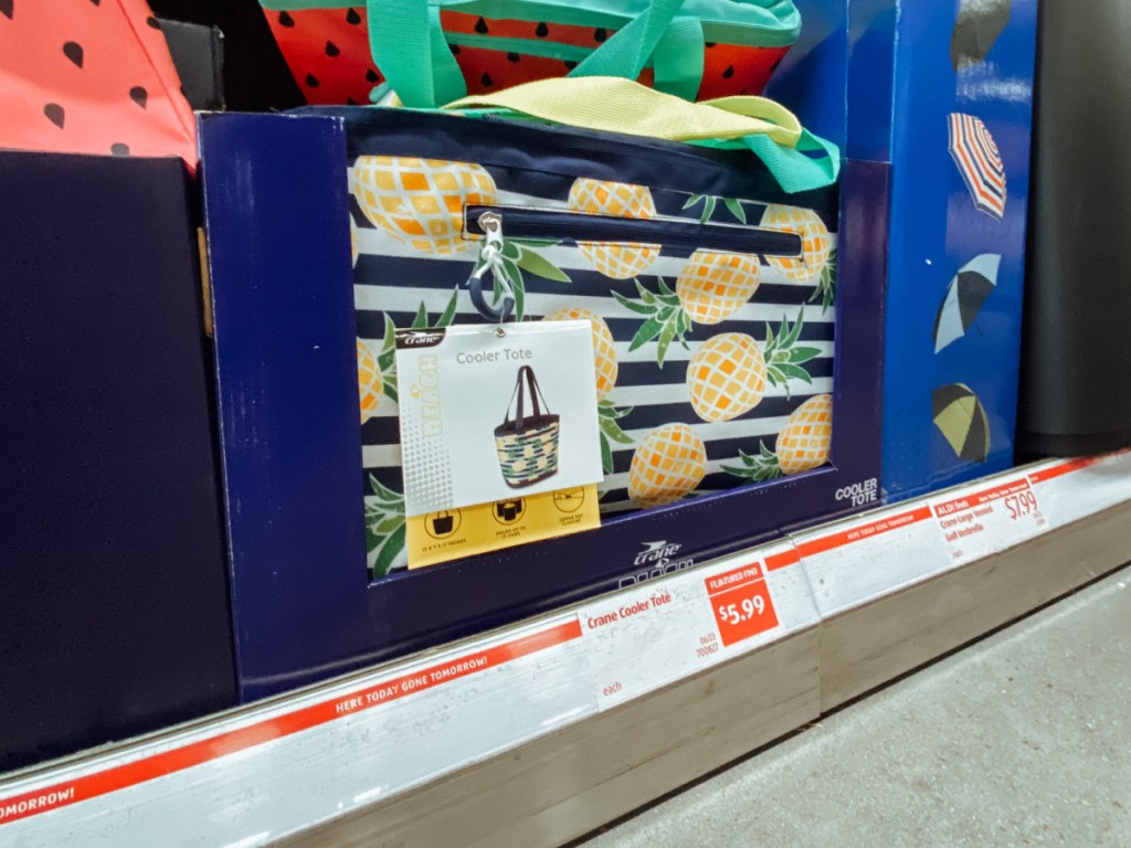 Cooler totes in-store display