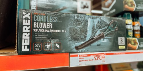 Cordless Leaf Blower Only $39.99 at ALDI | Lightweight & Rechargeable
