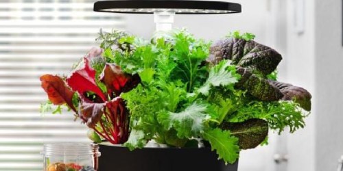 50% Off AeroGarden Harvest Indoor Gardens | Only $79.95 Shipped on Amazon (Reg. $165) – Includes Seeds!