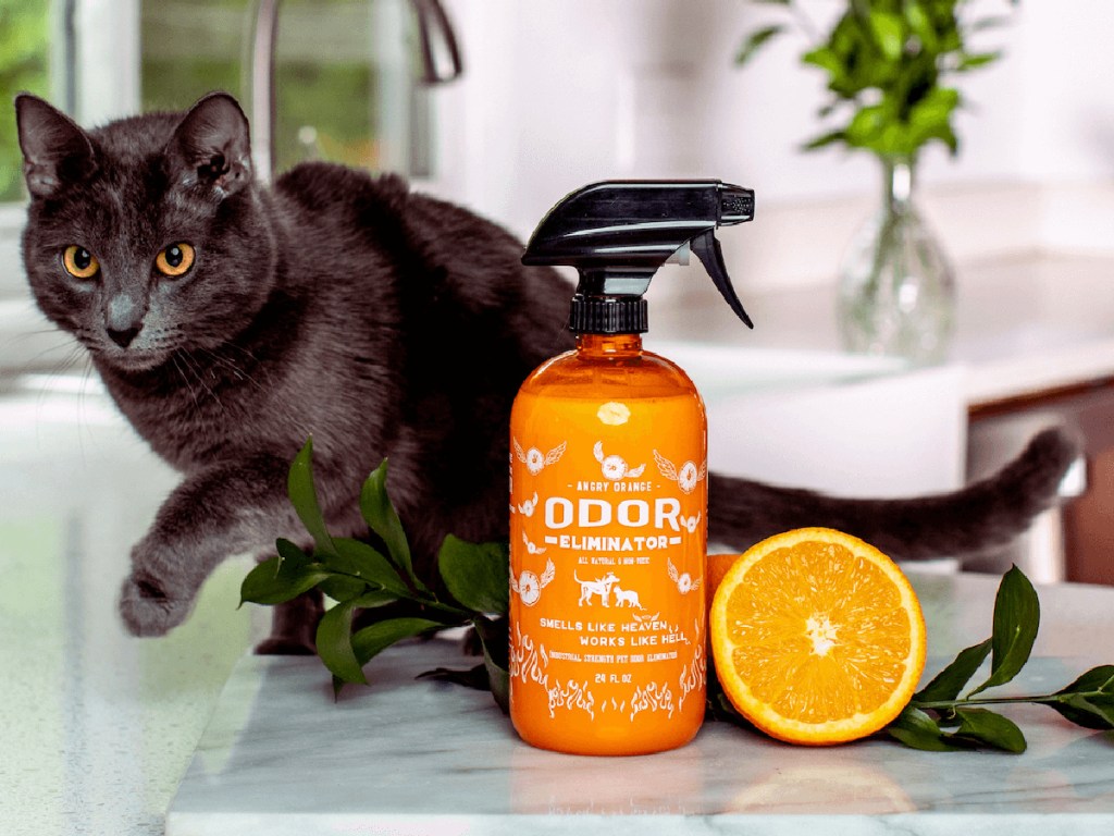 Angry Orange Pet Odor Eliminator Spray