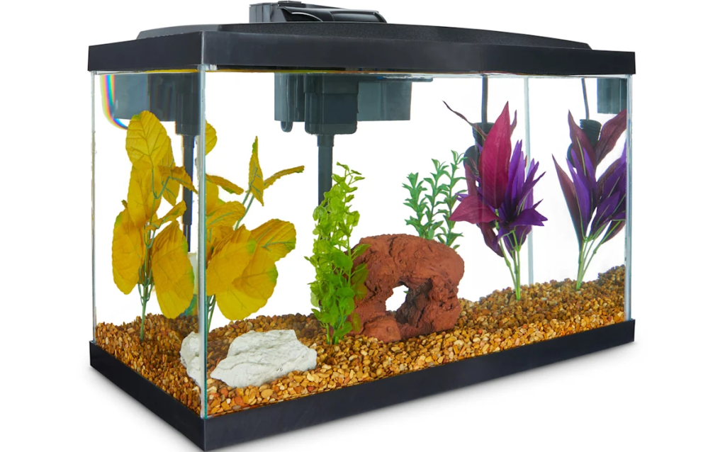 fish tank with accessories