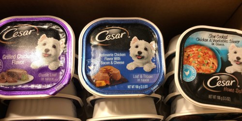 Cesar Wet Dog Food 36-Count Variety Pack from $7.40 Shipped on Amazon