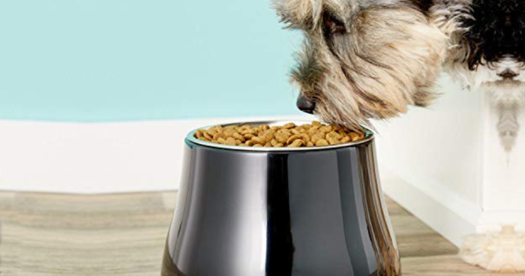 dog eating from dogit elevated pet bowl