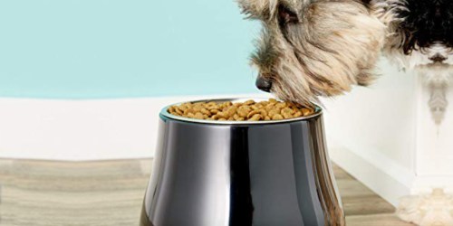 Stainless Steel Elevated Dog Bowl Only $5.49 on Amazon (Regularly $16.49)