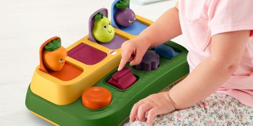 Fisher-Price Garden Pop-Up Toy w/ Sounds Only $6.74 on Walmart.com