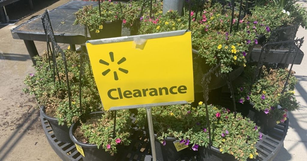 Add a Pop of Summer Color w/ Flower &amp; Plant Clearance from