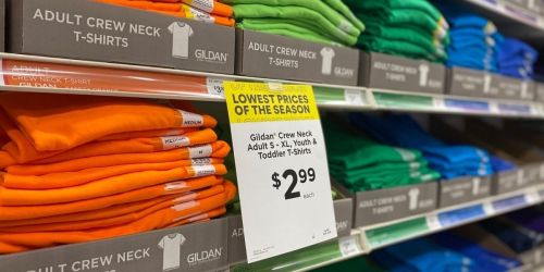 Gildan Shirts Only $2.99 at Michaels | Lots of Color Choices