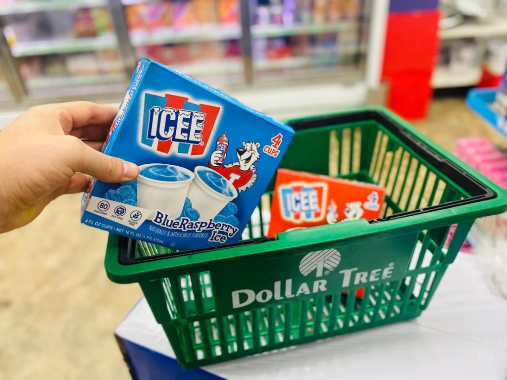two boxes of frozen treats in Dollar Tree store basket