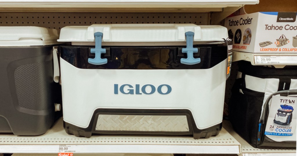 white, black and teal ice chest on shelf 