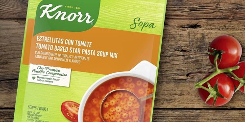 Knorr Pasta Soup Mix 12-Packs Only $5.59 Shipped on Amazon | Just 47¢ Each