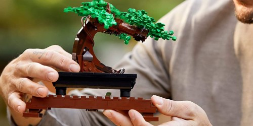 LEGO Bonsai Tree Building Set Only $40 Shipped on Amazon (Regularly $50)