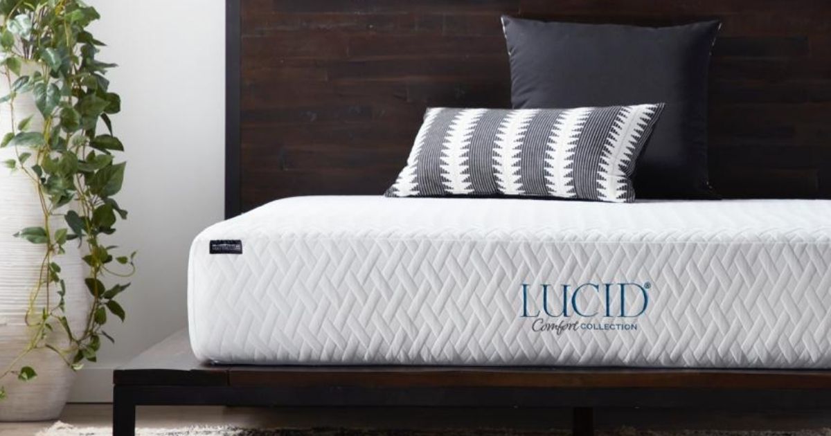 lucid comfort collection mattress king