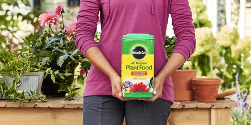 Miracle-Gro All Purpose Plant Food 5-Pound Container Only $7.58 on Amazon (Regularly $26)