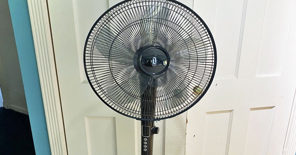 black Oscillating Pedestal Fan