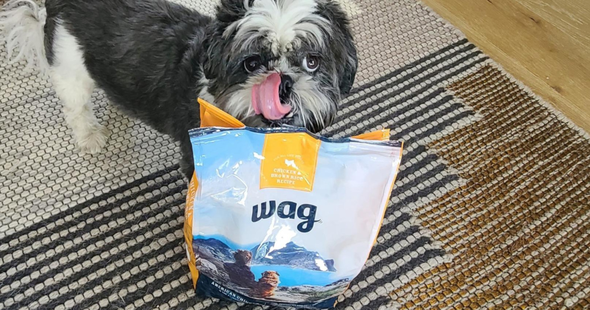 Wag Dry Dog Food 30-Pound Bag Just $18 Shipped on Amazon (Regularly $37)