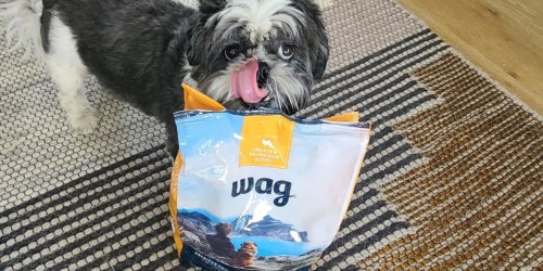 Wag Dry Dog Food 30-Pound Bag Just $18 Shipped on Amazon (Regularly $37)