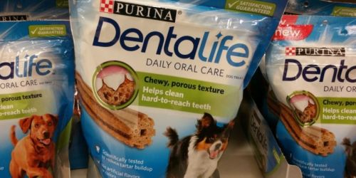 Up to 60% Off Purina DentaLife Dog Chews + Free Delivery on Amazon