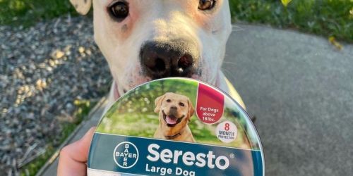 Seresto Flea + Tick Collars for Dogs & Cats from $13.75 Shipped on Amazon (Regularly $25)