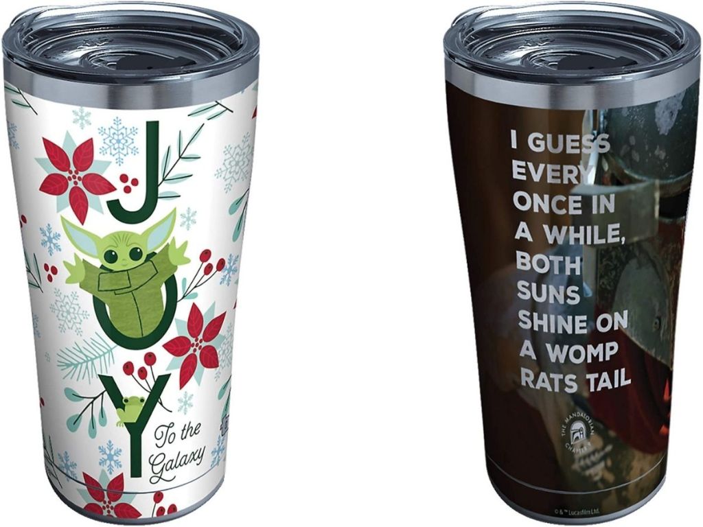 two stainless steel Tervis tumblers