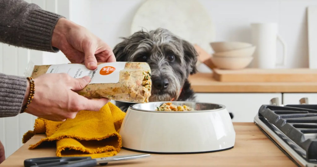 woman adding The Farmers Dog Food into dog bowl with dog watching