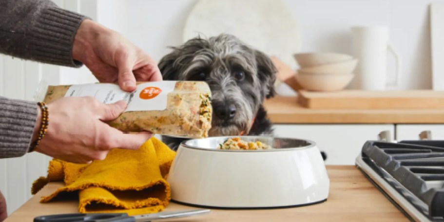 80% Off The Farmer’s Dog Fresh Dog Food Box + Free Delivery | New Customers Only (Limited Quantities)